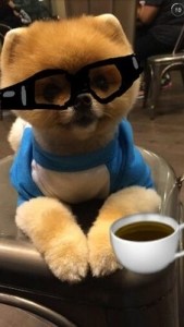 A snap from Jiff's Snapchat (jiffpom)