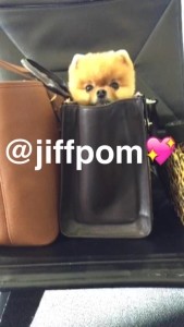 A snap from Jiff's Snapchat (jiffpom)