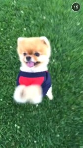 A snap from Jiff's Snapchat (jiffpom)