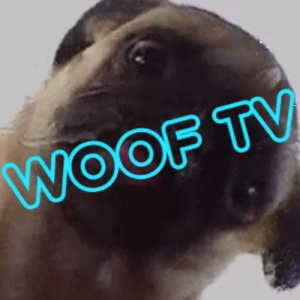 Woof TV