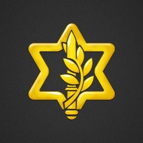 Israel Defense Forces