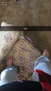 A snap from Alexa Gabrielle's Snapchat (alexagabriellec)
