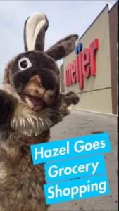 Hazel Goes Grocery Shopping